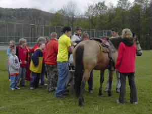 dspecialolympics2006.jpg