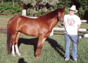 alcheyennecowboyhat.jpg